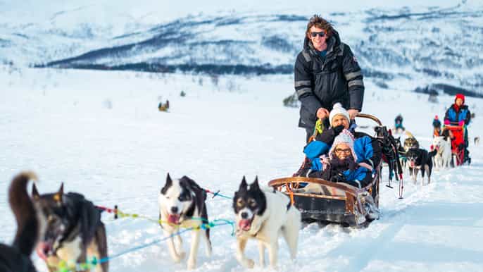 tromsø guided husky sledding with lunch
