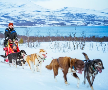 Tromsø: Viaje en trineo tirado por huskies con almuerzo tradicional