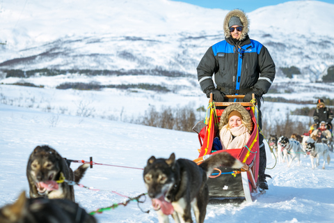 Tromsø: Husky-Schlitten-Selbstfahrt mit traditionellem Mittagessen