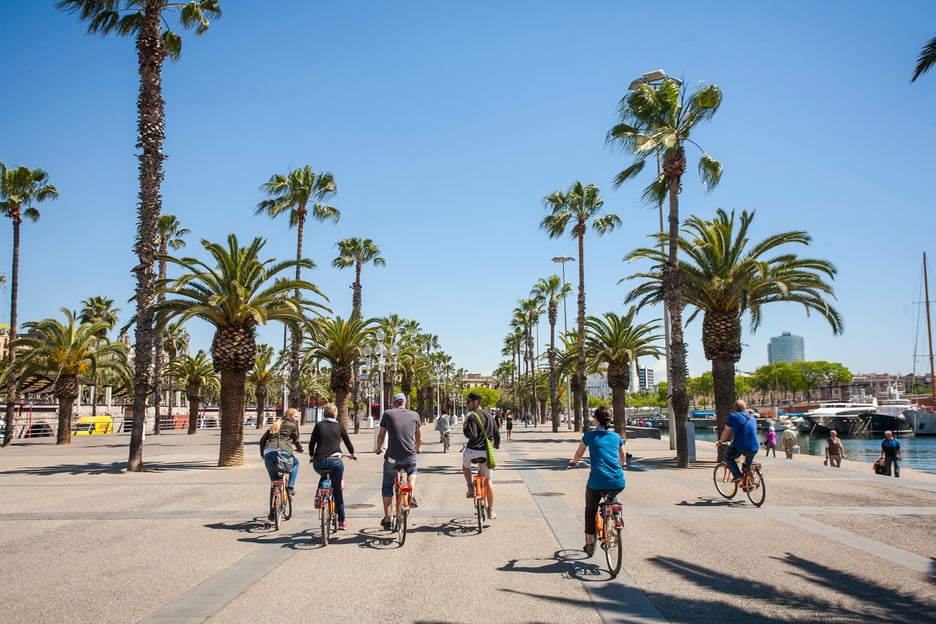Il meglio di Barcellona: tour in bicicletta di 3 ore