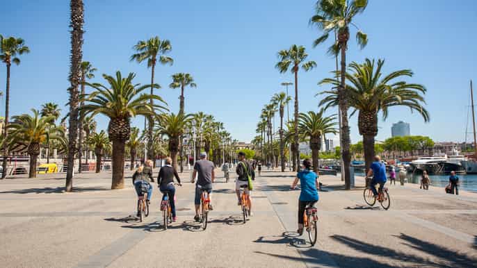 tour de 3 horas recorriendo lo mejor de barcelona en bici