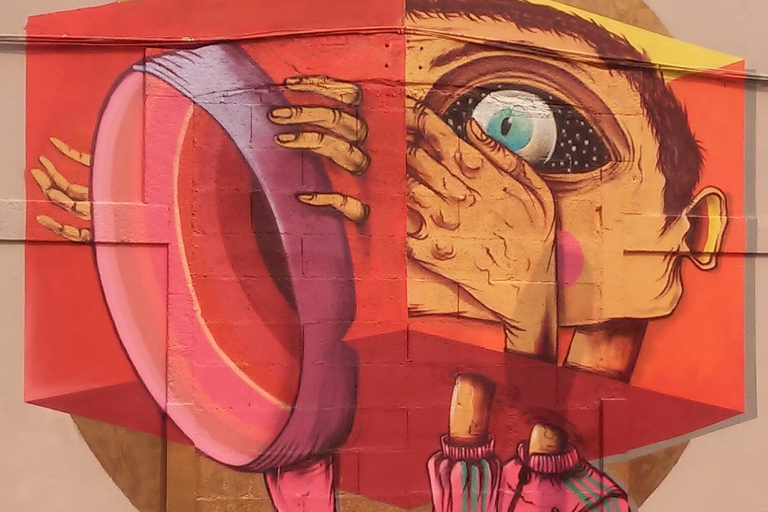 Porto: Street Art-tour van een halve dag