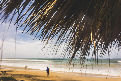 Experiencia de Surf en Punta Cana: Surf en República Dominicana