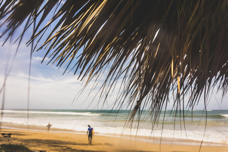 Experiência de surf em Punta Cana: surfe na República Dominicana