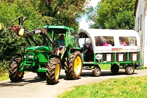 Stuttgart: Neckar Valley Vineyard Tour med overbygd vogn