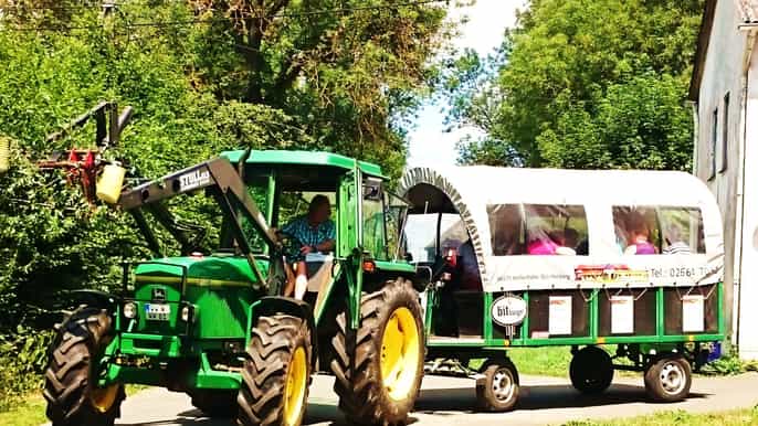tour vineyard em waggon coberto em alemão