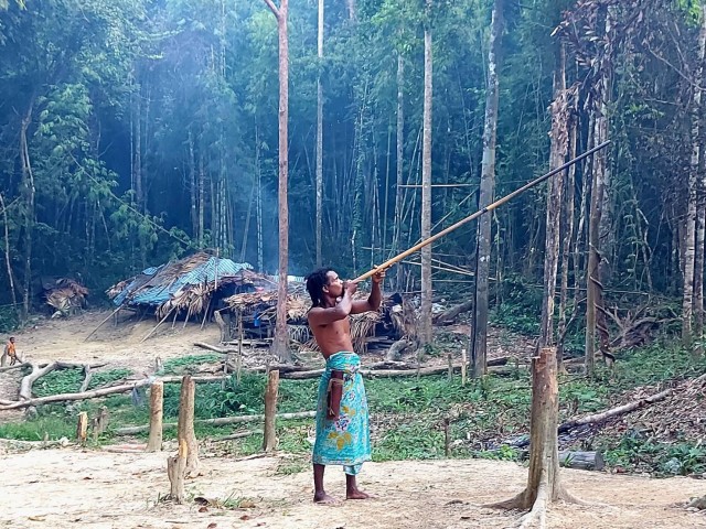 Visit Learning the Private Lifestyle of the Forest People. in Trang, Thailand