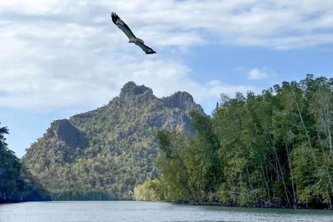 Langkawi: 3 Hours Private Mangrove Kilim Geoforest Boat Tour