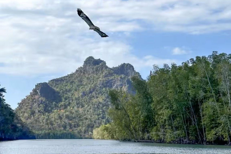 Langkawi: 3 Hours Private Mangrove Kilim Geoforest Boat Tour