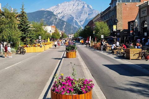 Banff Gondola, Lake Louise, Emerald Lake &amp; 3 natursköna sjöar