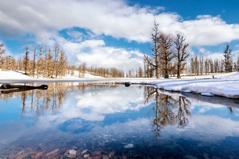Hokkaido Summer Nature Experience: Furano & Biei