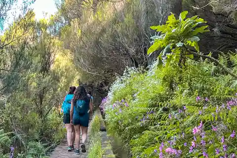 Kleingruppenwanderungen Rabaçal 25 Fontes