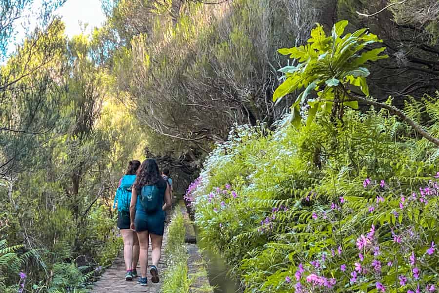 Kleingruppenwanderungen Rabaçal 25 Fontes. Foto: GetYourGuide