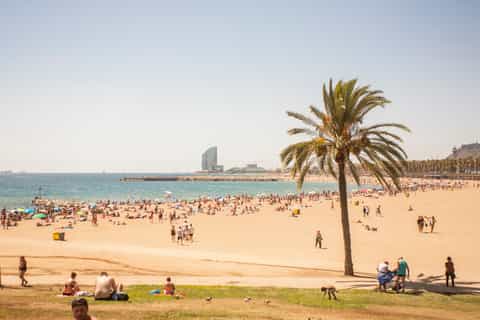Barcelona: 3-Hour Segway Sightseeing Tour