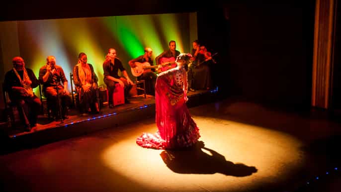 barcelona 1hour flamenco show at palacio del flamenco