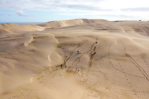 Nueva Zelanda: Tour guiado de 43 días por la Isla Norte con acampada