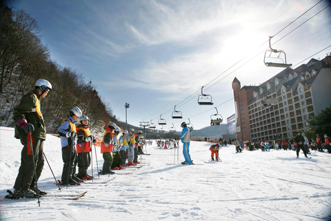 Da Seul: Tour sciistico in Corea - Jisan Forest ResortSnowboard &amp; Lift per principianti