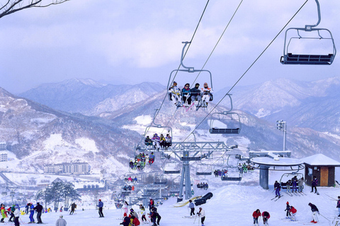 Da Seul: Tour sciistico in Corea - Jisan Forest ResortSnowboard &amp; Lift per principianti