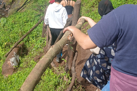 莫西：马特鲁尼瀑布、咖啡之旅与传统午餐