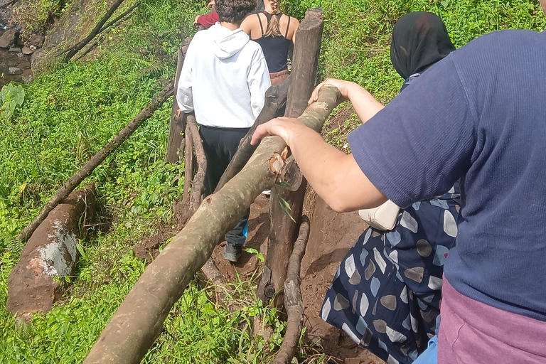 莫西：马特鲁尼瀑布、咖啡之旅与传统午餐