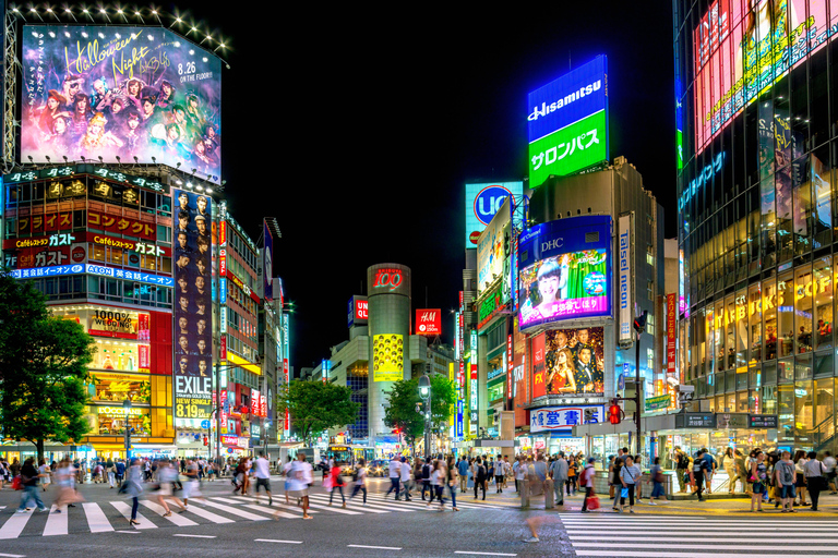 Narita Luchthaven NRT Privé transfer van/naar Regio TokioJapanse chauffeur - Vertrek pick-up Tokio naar NRT