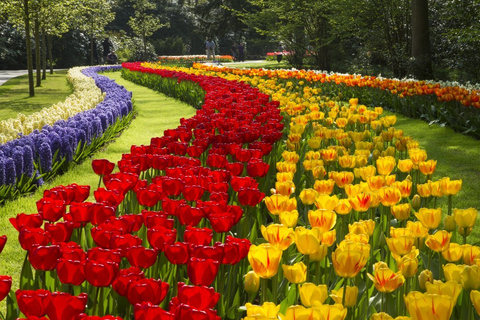 From Amsterdam: Keukenhof Gardens & Tulip Experience Tour Keukenhof Gardens Trip without Canal Tour Voucher