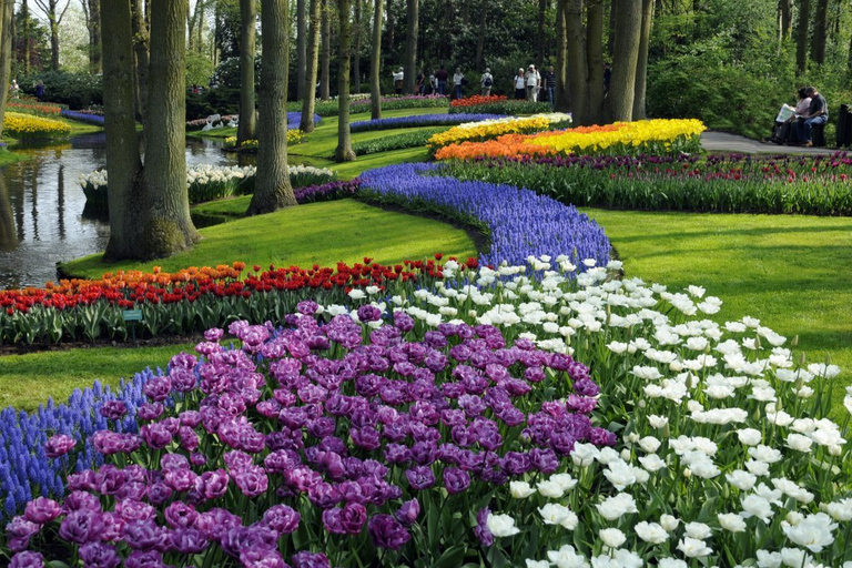 From Amsterdam: Keukenhof Gardens & Tulip Experience Tour Keukenhof Gardens Trip without Canal Tour Voucher