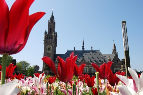Róterdam, Delft y La Haya: tour de 1 día en grupo reducido