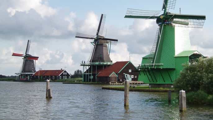 amsterdam 3hour zanse schaans windmills tour w/ guide