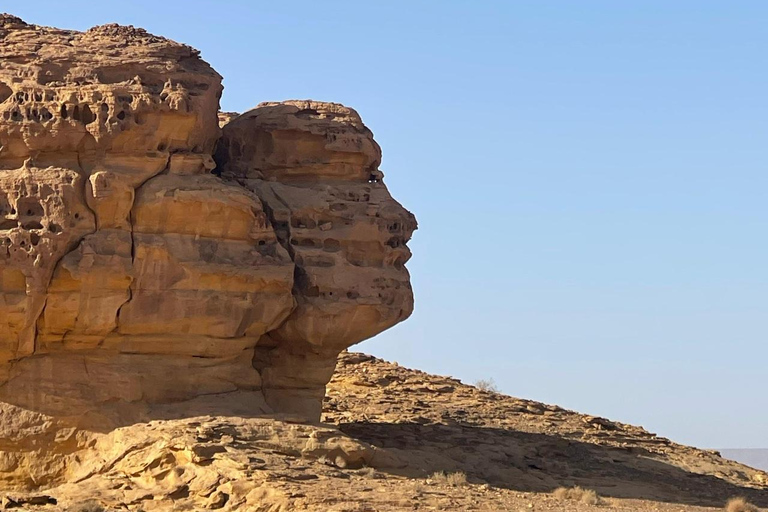Al Ula: Full-Day Tour by Private SUV Car