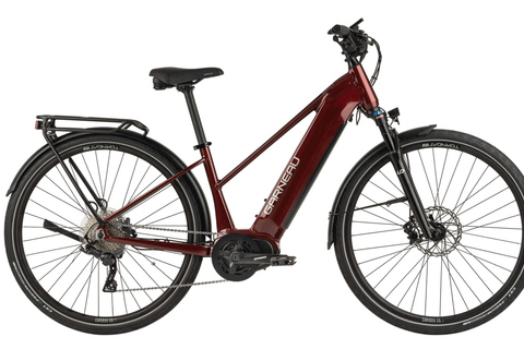 Montreal Full Day Ebike rental Old Montreal- Lachine Canal