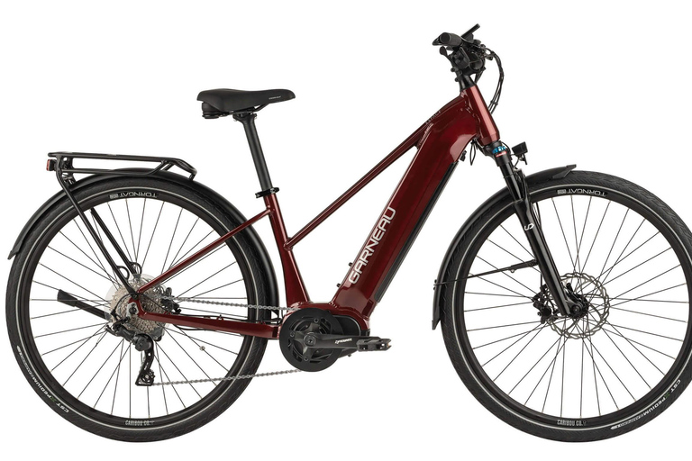 Montreal Full Day Ebike rental Old Montreal- Lachine Canal