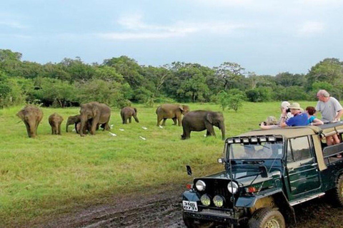 Sigiriya: Minneriya National Park Private Jeep Safari Tour Dambulla: Minneriya National Park Private Jeep Safari Tour