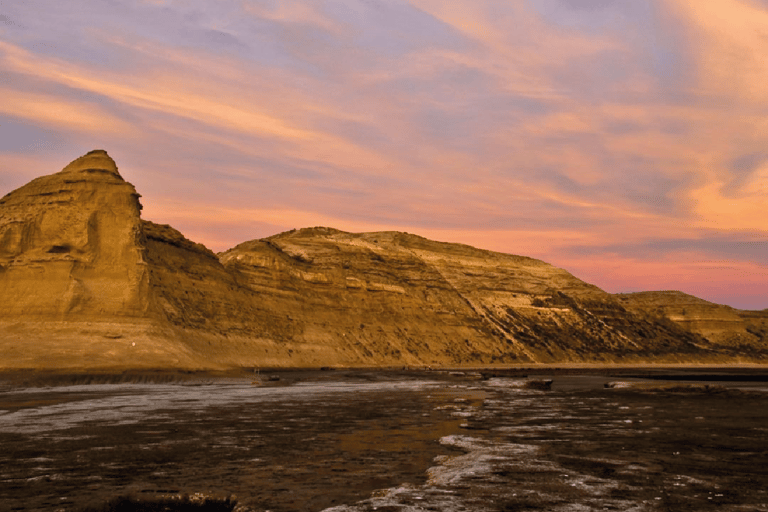 Península Valdés: Excursión en tierra para cruceristas