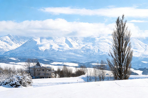 Hokkaido Winter Shikisai no Oka, Blue Pond (Dec.10 - Mar.10) 10:40 am meet at JR Sapporo Station North exit