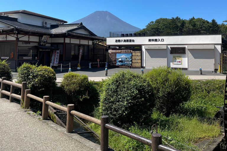 4-Daagse privétour Mt Fuji, Hakone, Nikko en Tokio.