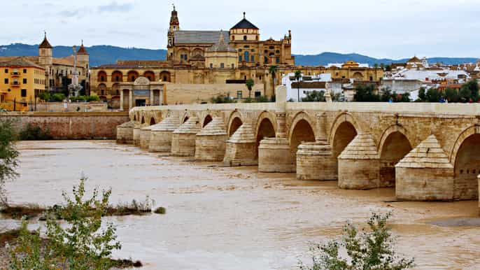 private fullday tour of cordoba from seville
