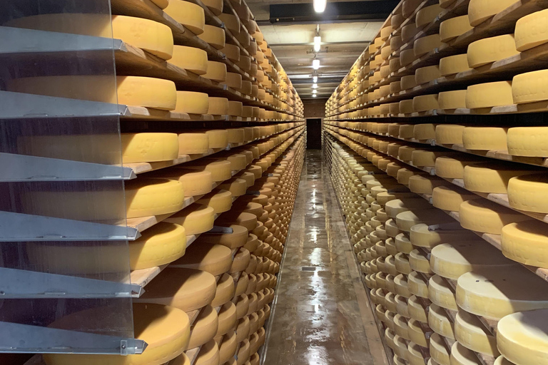 Zurigo: Castello di Gruyères, formaggio e cioccolato Tour privato di un giorno