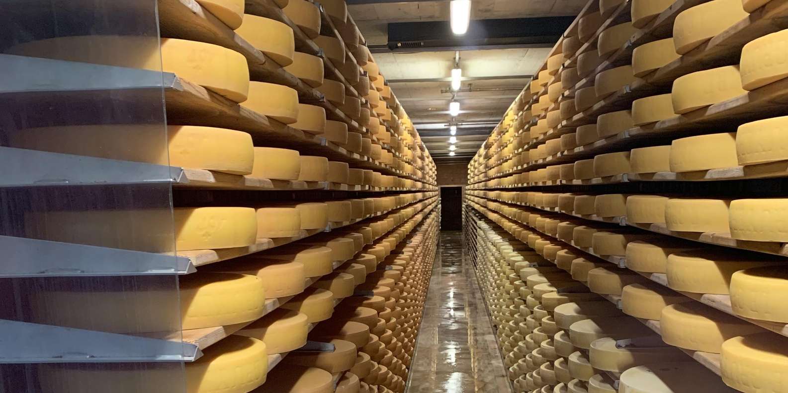 ワンダーランドファクトリー [休憩] チューリッヒ：グリュイエール城