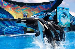 SeaWorld Orlando: Eintrittskarte