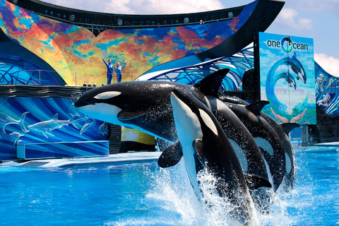 SeaWorld Orlando: toegangsbewijs voor het parkOnbeperkt aantal bezoeken & gratis parkeren