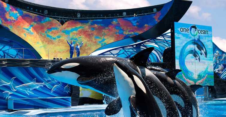 SeaWorld Orlando: Vstupenka do parku