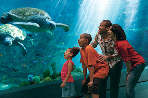 SeaWorld Orlando : billet d'entrée au parcVisites illimitées avec stationnement gratuit