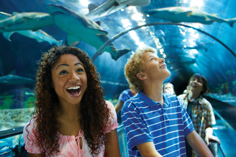 SeaWorld Orlando : billet d'entrée au parcVisites illimitées avec stationnement gratuit