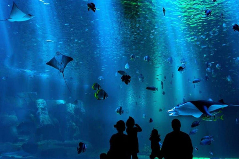 Mexico City: Inbursa Aquarium Entry with Hotel Transfer