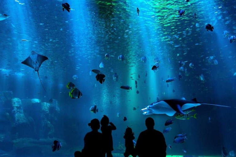 Mexico City: Inbursa Aquarium Entry with Hotel Transfer