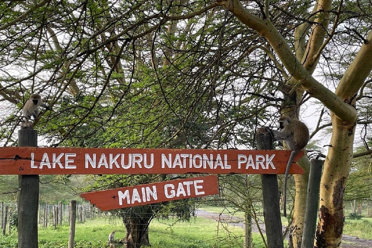 Da Nairobi: escursione al Parco Nazionale del Lago NakuruEscursione al Parco Nazionale del Lago Nakuru senza biglietto d&#039;ingresso
