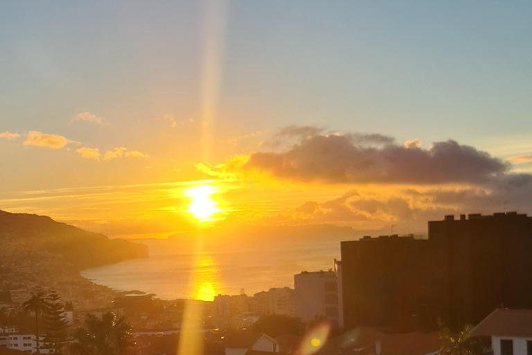 فونشال: جولة عائلية في جزيرة ماديراجولة عائلية في جزيرة ماديرا