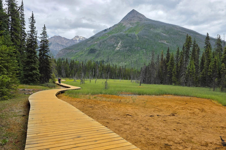 Soak & Explore: Radium Hot Springs and Kootenay Park Tour