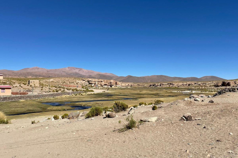 San Pedro de Atacama: 4-tägige Tour durch die Uyuni Salzwiesen